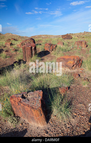 USA, Arizona, Holbrook, Petrified Forest National Park, le bois pétrifié sur bûches géantes Trail Banque D'Images