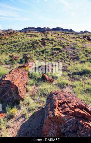 USA, Arizona, Holbrook, Petrified Forest National Park, le bois pétrifié sur longue piste de journaux Banque D'Images