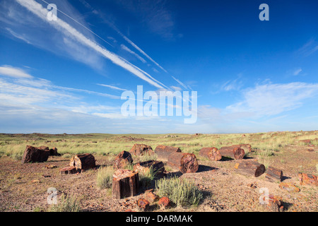 USA, Arizona, Holbrook, Petrified Forest National Park, le bois pétrifié sur longue piste de journaux Banque D'Images