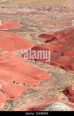 USA, Arizona, Holbrook, Petrified Forest National Park, Badlands Banque D'Images