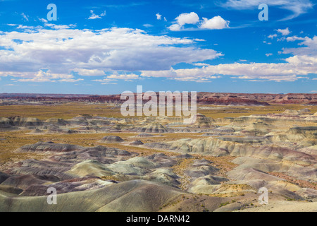 USA, Arizona, Holbrook, Petrified Forest National Park, Badlands Banque D'Images