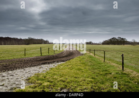 Ciel gris arround la prairie d'une ferme avec une ligne droite dans la distance Banque D'Images