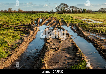 Des traces de pneus d'un tracteur dans un champ rempli de l'eau de pluie. Banque D'Images