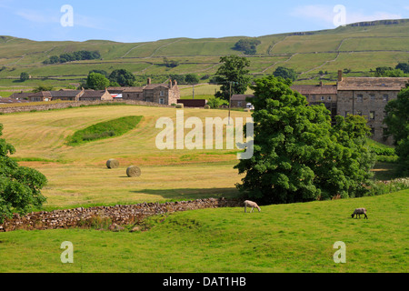 Ballots de foin dans un champ près du Pennine Way in Hawes, Wensleydale, Yorkshire du Nord, Yorkshire Dales National Park, England, UK. Banque D'Images