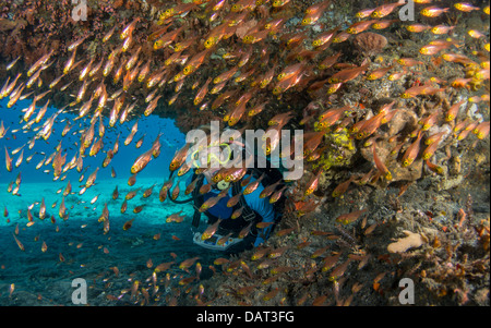 Femme blonde en plongeur grotte sous-marine entourée de poissons de verre Banque D'Images