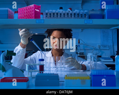 Scientist working in lab Banque D'Images