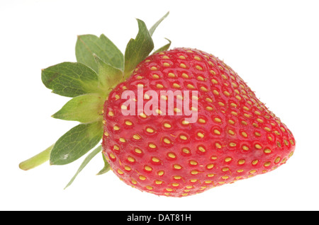 Des fraises fraîches isolées sur fond blanc Banque D'Images