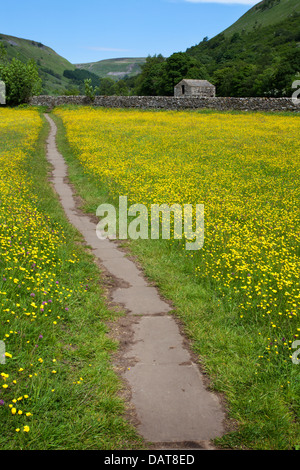 Sentier pavé à travers prés Renoncule à Muker Swaledale England Yorkshire Dales Banque D'Images