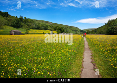 Couple en train de marcher sur le sentier pavé à travers prés Renoncule à Muker Swaledale England Yorkshire Dales Banque D'Images