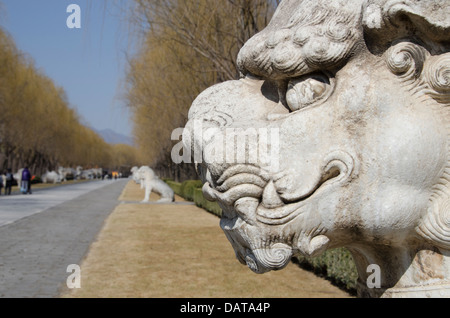 La Chine, Beijing. Changling Voie Sacrée. 14e siècle dynastie Ming, orné de statues sculptées lion mythique créature. Banque D'Images