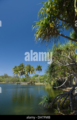 Lac PANDANUS Fairchild Tropical Botanic Garden CORAL GABLES FLORIDA USA Banque D'Images