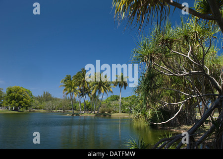 Lac PANDANUS Fairchild Tropical Botanic Garden CORAL GABLES FLORIDA USA Banque D'Images