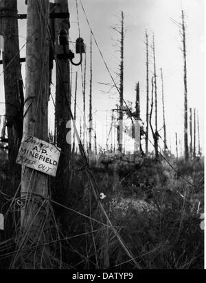 Période d'après-guerre, dommages de guerre, Allemagne, partie de la forêt de Huertgen non débarrassée des mines, années 1950, droits additionnels-Clearences-non disponible Banque D'Images