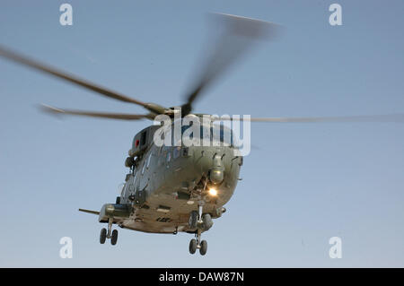 (Afp) un fichier EH101 Merlin HC Mk3, 1419 Hélicoptère Vol de la Royal Air Force Escadron Numéro 28, représenté à l'Iraq, juin 2006. Cinq Merlins transportant quatre soldats sont déployés en Irak. Photo : Carl Schulze Banque D'Images