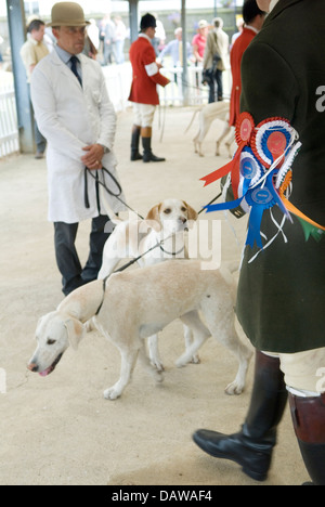 Rosettes sur un huntsman qui a montré ses renards. Festival of Hunting Peterborough 2010 UK HOMER SYKES Banque D'Images