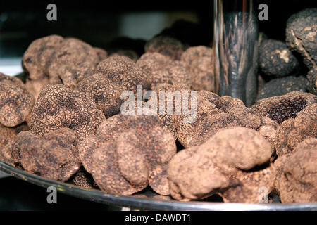 Truffes sélectionnées à une partie de la truffe à Berlin, Allemagne, 16 janvier 2007. Photo : Xamax Banque D'Images