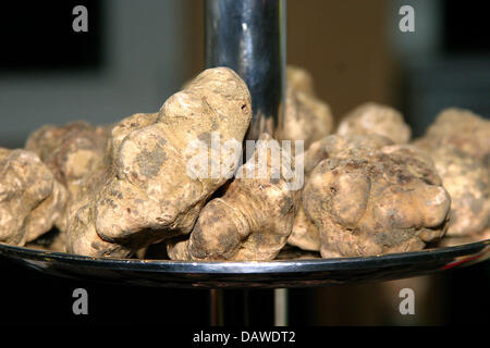 Truffes sélectionnées à une partie de la truffe à Berlin, Allemagne, 16 janvier 2007. Photo : Xamax Banque D'Images