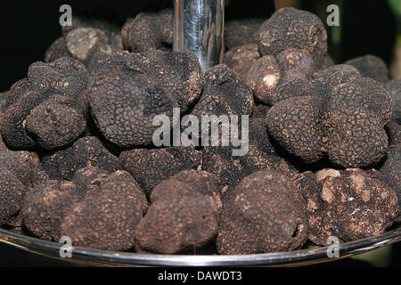 Truffes sélectionnées à une partie de la truffe à Berlin, Allemagne, 16 janvier 2007. Photo : Xamax Banque D'Images