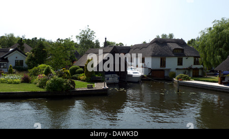 Riverside chaume accueil par la rivière Bure, Wroxham, Norfolk Broads, GB. Banque D'Images