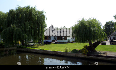 Riverside chaume accueil par la rivière Bure, Wroxham, Norfolk Broads, GB. Banque D'Images