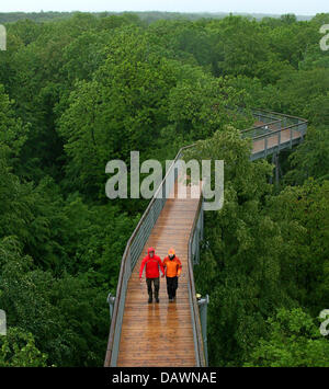 Les visiteurs marchent sur le plus important en Allemagne accrobranche dans le parc national du Hainich '' près de Bad Langensalza, Allemagne, 29 mai 2007. Le sentier est jusqu'à 24 mètres de haut et 306 mètres de long. Photo : Martin Schutt Banque D'Images