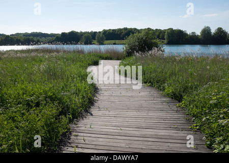 Cosmeston Lakes Country Park Penarth Banque D'Images