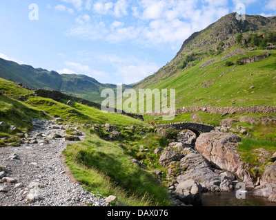 Stockley pont sur les céréales Gill. Seathwaite Fell's Aaron Crags lieu derrière. Près de Seathwaite dans le Lake District, Cumbria Banque D'Images