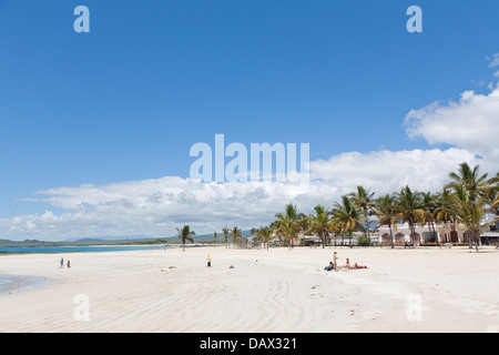 Plage, l'île Isabela, Puerto Villamil, îles Galapagos, Equateur Banque D'Images