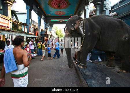 Lakshmi l'éléphant représente l'extérieur de l'Manakula Vinayagar temple en Inde. Banque D'Images