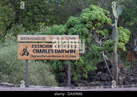 Charles Darwin Research Station, à Puerto Ayora, l'île de Santa Cruz, Galapagos, Equateur Banque D'Images