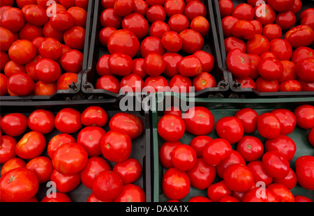 tomates cerises Banque D'Images