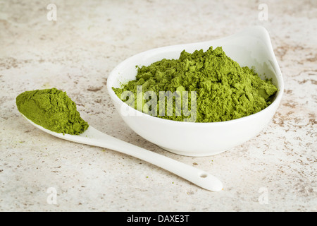 Poudre de feuilles de moringa dans un petit bol avec une cuillère contre un arrière-plan de carreaux en céramique Banque D'Images