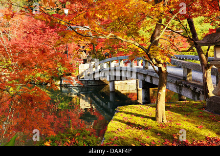 Feuillage d'automne au Temple Eikando à Kyoto, au Japon. Banque D'Images