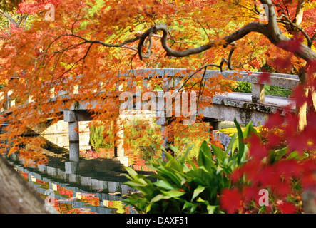 Feuillage d'automne au Temple Eikando à Kyoto, au Japon. Banque D'Images