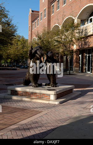 Mascottes Gator Albert et de l'Alberta les statues de bronze sont un favori d'intérêt local pour les étudiants de l'UF. Banque D'Images