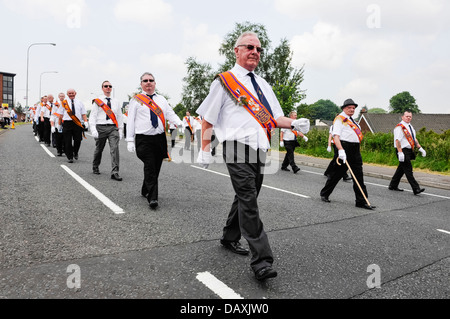 La marche des orangistes sur la route durant le 12 juillet défilé de l'ordre d'Orange Banque D'Images