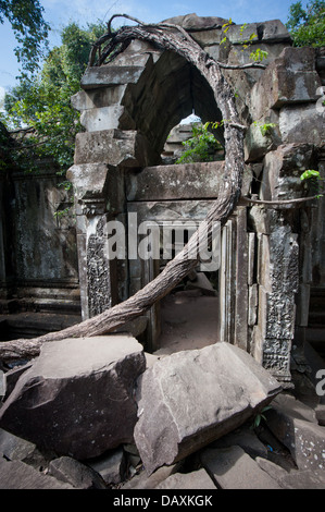 Ruines de Beng Mealea, Angkor, Cambodge Banque D'Images