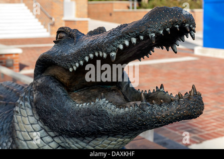 Tête d'un alligator en bronze statue, mascotte de l'Université de Floride, se trouve en face de l'Ben Hill Griffin stadium. Banque D'Images