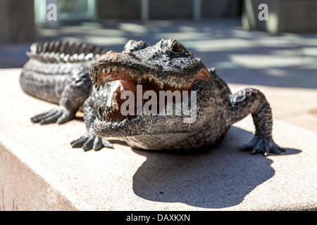 Alligator bronze statue, mascotte de l'Université de Floride, se trouve en face de l'Ben Hill Griffin stadium. Banque D'Images