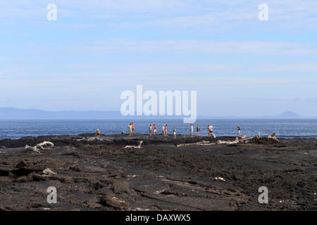 Visite guidée, Punta Espinoza, Fernandina Island, îles Galapagos, Equateur Banque D'Images