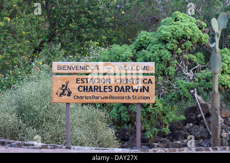 Charles Darwin Research Station, à Puerto Ayora, l'île de Santa Cruz, Galapagos, Equateur Banque D'Images