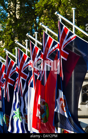 Territoires britanniques d'outre-mer drapeaux flottants dans la place du Parlement, Londres Banque D'Images