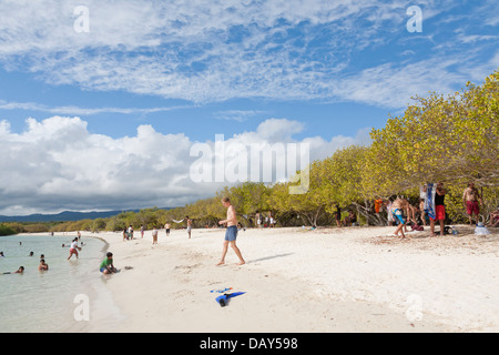 Tortuga Bay, plage, l'île de Santa Cruz, Galapagos, Equateur Banque D'Images