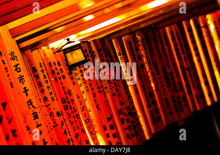 Portes Torii de Fushimi Inari Shrine in Kyoto, Japon Banque D'Images