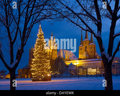 Domplatz avec arbre de Noël, la cathédrale St Mary et St Severus église, Erfurt, Thuringe, Allemagne Banque D'Images