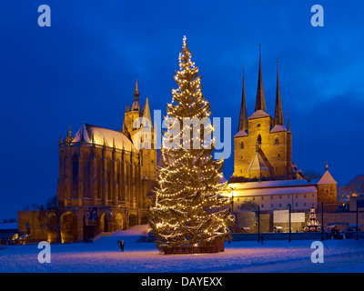 Domplatz avec arbre de Noël, la cathédrale St Mary et St Severus église, Erfurt, Thuringe, Allemagne Banque D'Images