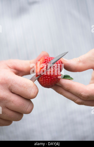 Fragaria × ananassa. Mans mains une fraise en tranches avec un couteau Banque D'Images