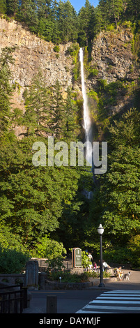 Multnomah Falls State Park panorama de l'Oregon. Banque D'Images