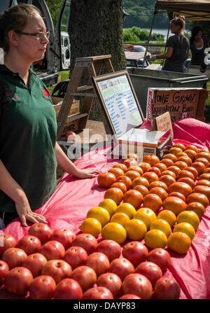 Washington Boro, Pennsylvania, USA. Washington Boro annuel Festival de la tomate a lieu chaque année. Banque D'Images