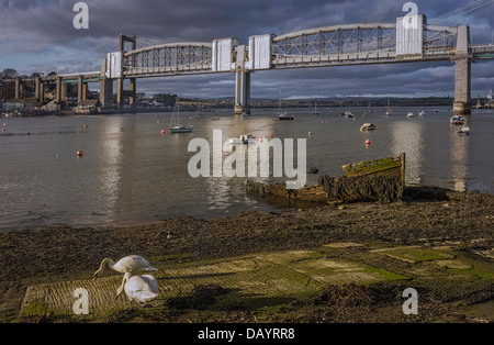 Prince Albert Bridge sur la Rivière Tamar avec bateau en décomposition et de cygnes sur les bords de la rivière à Plymouth, Devon, Angleterre. Banque D'Images